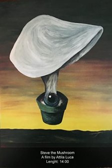 Steve The Mushroom (2010) afişi