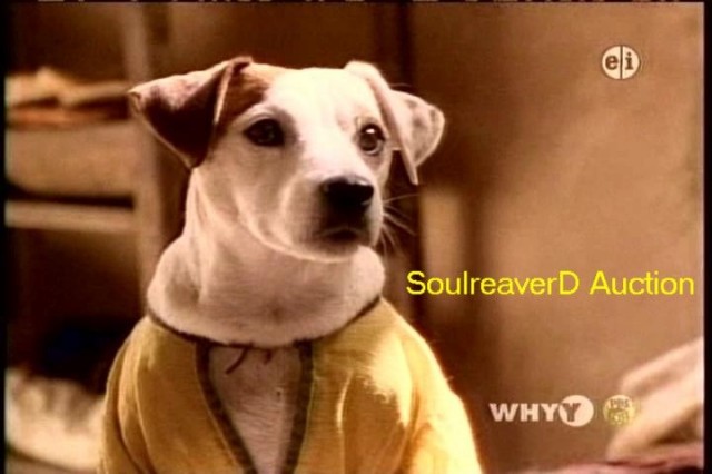 Wishbone,yaşa Wishbone Fotoğrafı