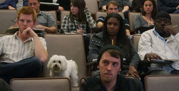 My Dog's Christmas Miracle Fotoğrafı