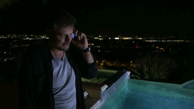 My Dog's Christmas Miracle Fotoğrafı