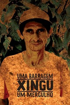 Farklı Kültürler (2012) afişi