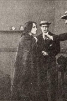 The Lily Of The Tenements (1911) afişi