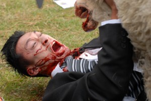 Kara Koyun fotoğrafı