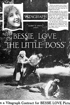 The Little Boss (1919) afişi