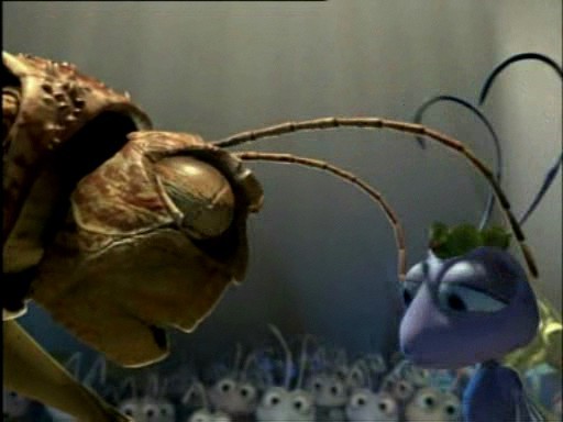 Bir Böceğin Yaşamı Fotoğrafı