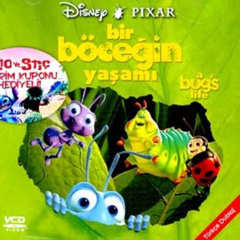 Bir Böceğin Yaşamı Fotoğrafı