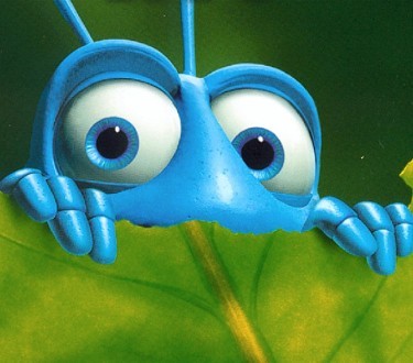 Bir Böceğin Yaşamı Fotoğrafı