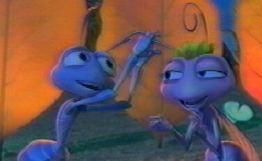 Bir Böceğin Yaşamı Fotoğrafı