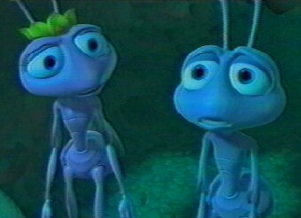 Bir Böceğin Yaşamı Fotoğrafı