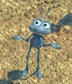 Bir Böceğin Yaşamı Fotoğrafı