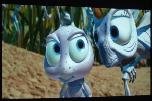 Bir Böceğin Yaşamı Fotoğrafı