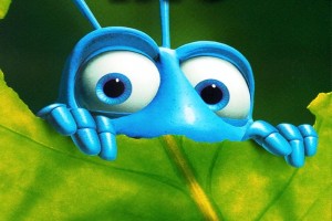 Bir Böceğin Yaşamı Fotoğrafı