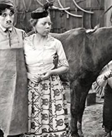 Luke and the Rural Roughnecks (1916) afişi