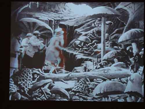 Aya Seyahat Fotoğrafı