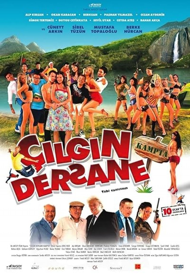 Çılgın Dersane Kampta (2008) afişi