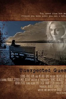 Unexpected Guest (2012) afişi