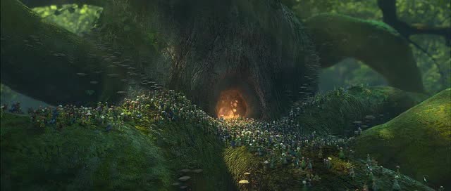 Doğal Kahramanlar Fotoğrafı