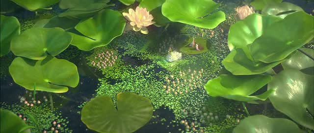 Doğal Kahramanlar Fotoğrafı