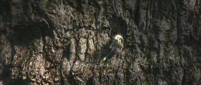 Doğal Kahramanlar Fotoğrafı