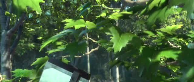 Doğal Kahramanlar Fotoğrafı