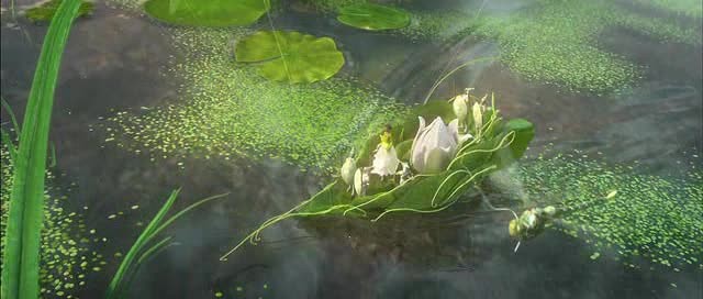 Doğal Kahramanlar Fotoğrafı