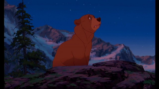 Ayı Kardeş Fotoğrafı