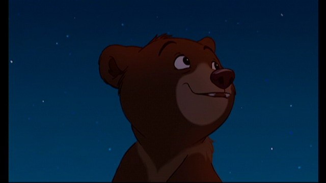 Ayı Kardeş Fotoğrafı