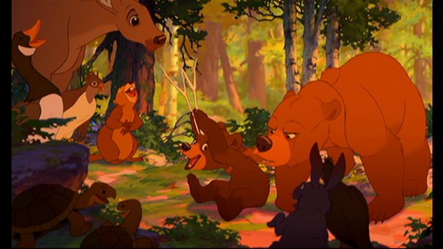 Ayı Kardeş Fotoğrafı