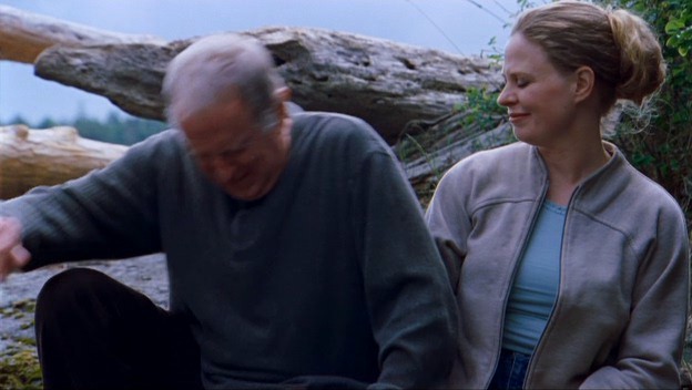 Siyah At Fotoğrafı