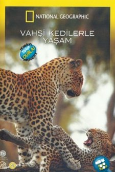 Vahşi Kedilerle Yaşam (2007) afişi