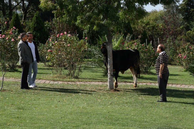 Zengin Kız Fakir Oğlan Fotoğrafı