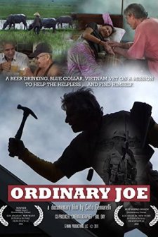 Ordinary Joe (2012) afişi