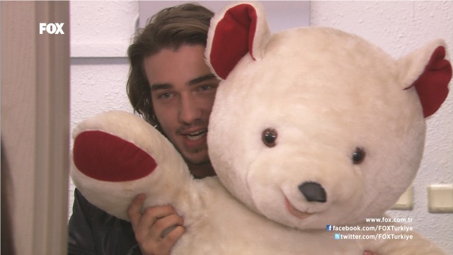 Deniz Yıldızı Fotoğrafı