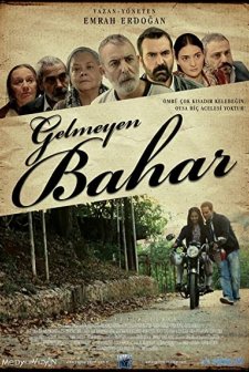 Gelmeyen Bahar (2013) afişi