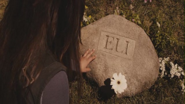 Tanrının Kitabı Fotoğrafı