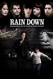 Yağmurla Gelen (2010) afişi