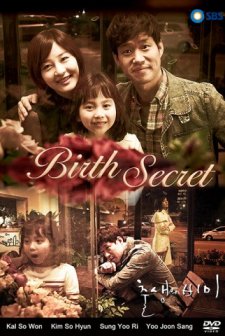 Birth Secret (2013) afişi