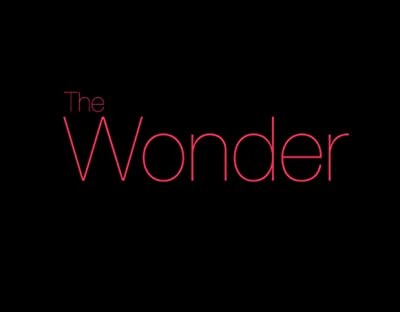 The Wonder (2014) afişi
