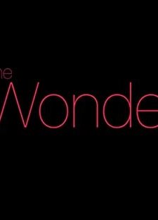 The Wonder (2014) afişi