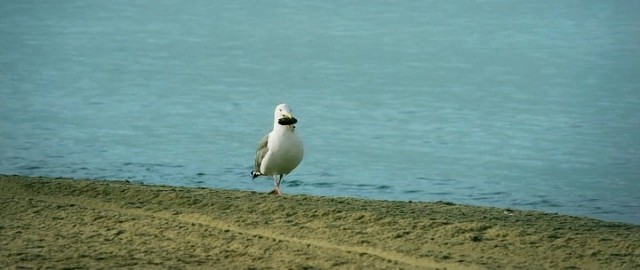 Yüzleşme Fotoğrafı