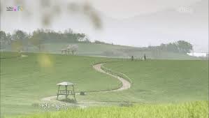 Adolescence Medley Fotoğrafı