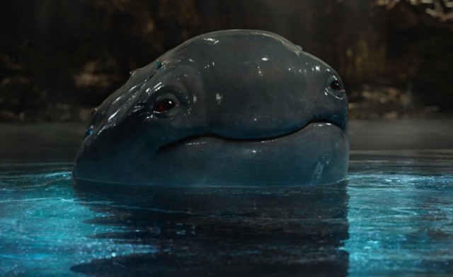 Canavar Kamyonlar Fotoğrafı