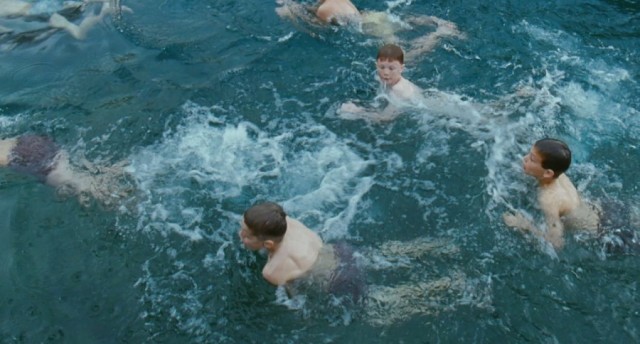 Hayat Ağacı Fotoğrafı