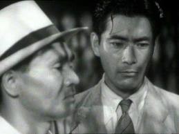 Nora inu Fotoğrafı