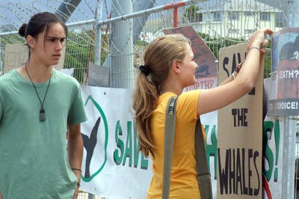 Das Geheimnis der Wale fotoğrafı