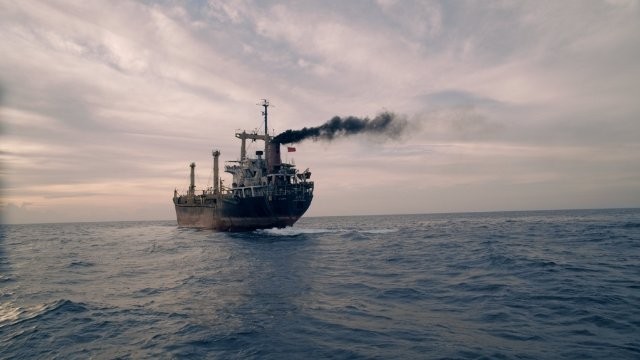 Secret Sharer fotoğrafı