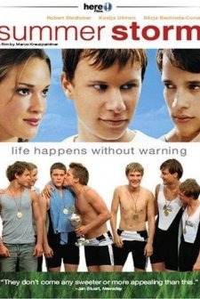 Yaz Fırtınası (2004) afişi