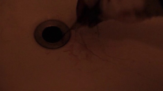 Ölüme Dönüşüm Fotoğrafı