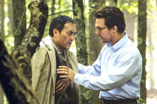 Sonsuzluk Ormanı Fotoğrafı