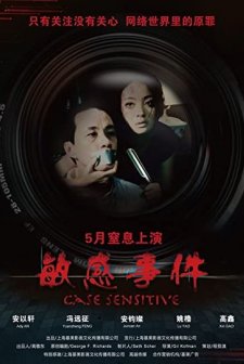 Case Sensitive (2010) afişi